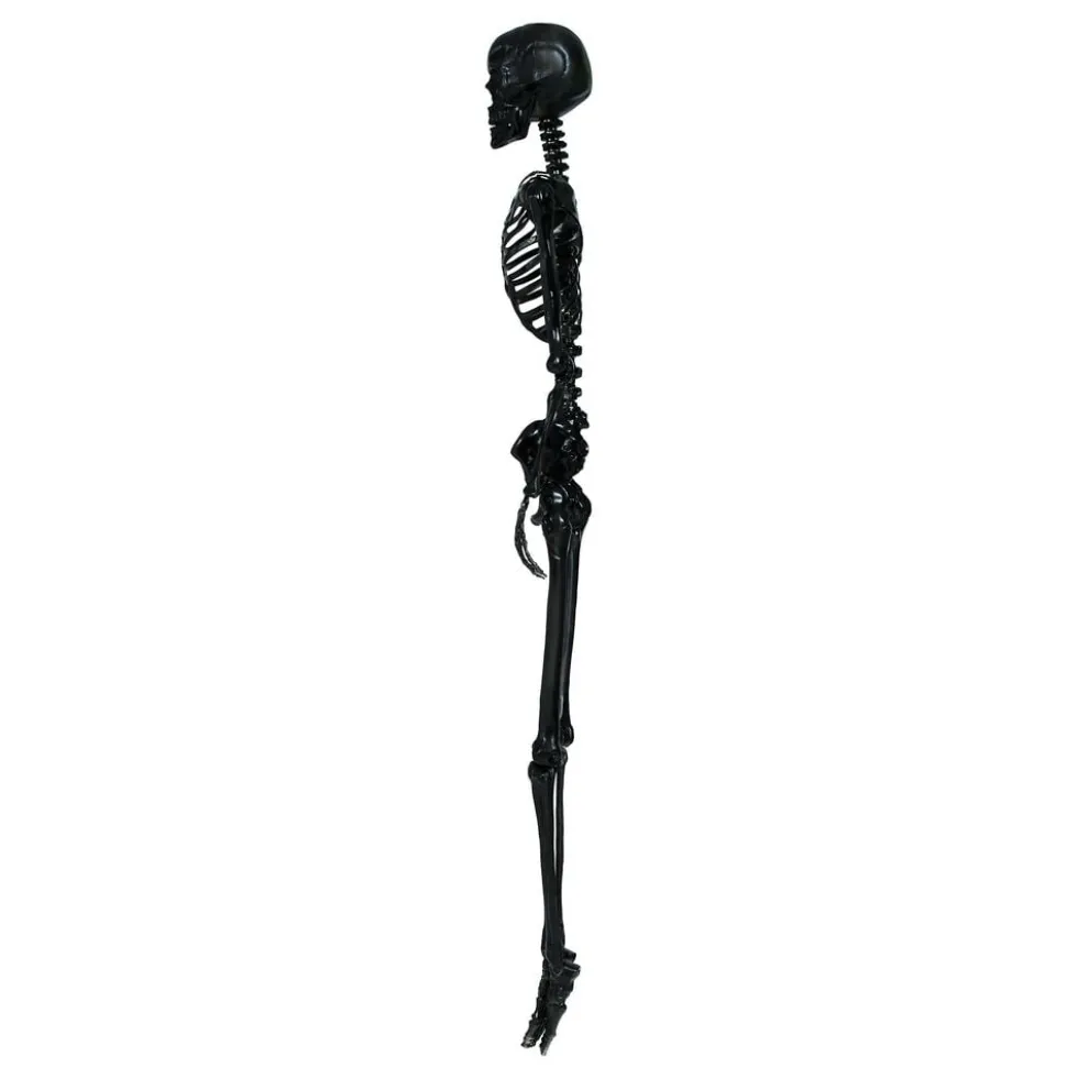 Skelet Sort Prop