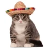 Sombrero til Kæledyr