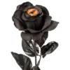 Sort Rose med Øje