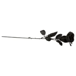 Sort Rose med Øje