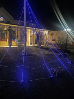 Spindelvæv LED med edderkop