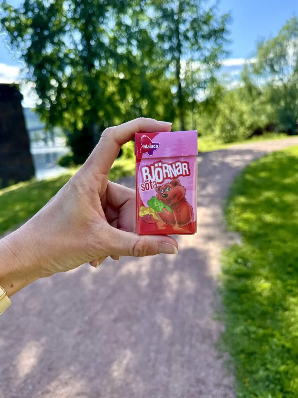 Söta Björnar Pastilæske Storpak