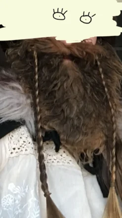 Vikingeskæg