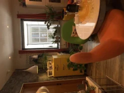 Vinduesdekoration Kvinde