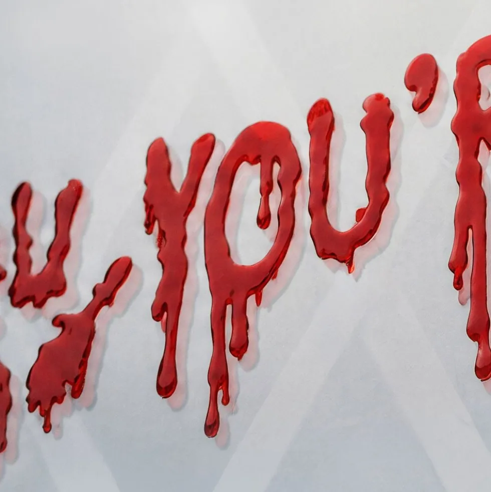 Vinduesstickers You're Next