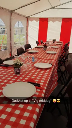 Voksdug Rødternet